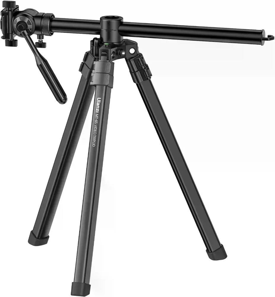 standard_resolution-1162.jpg