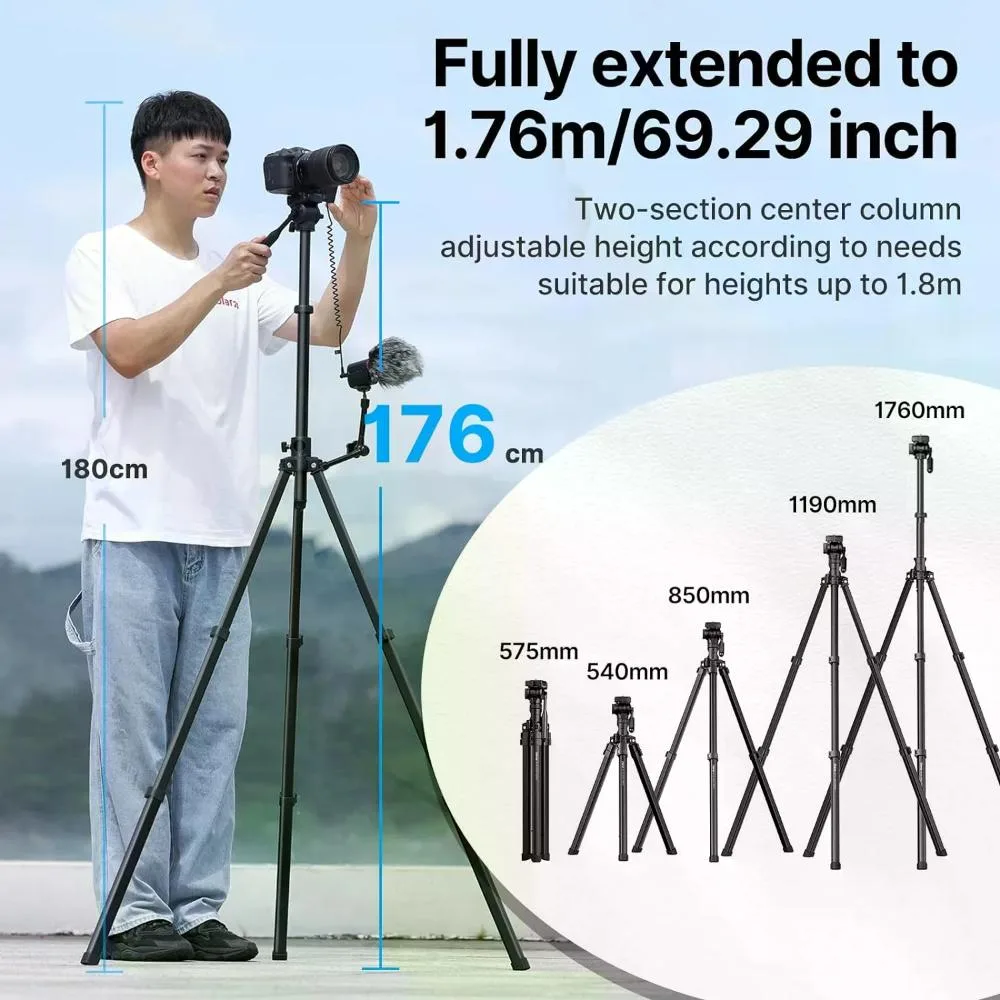 standard_resolution-1170.jpg