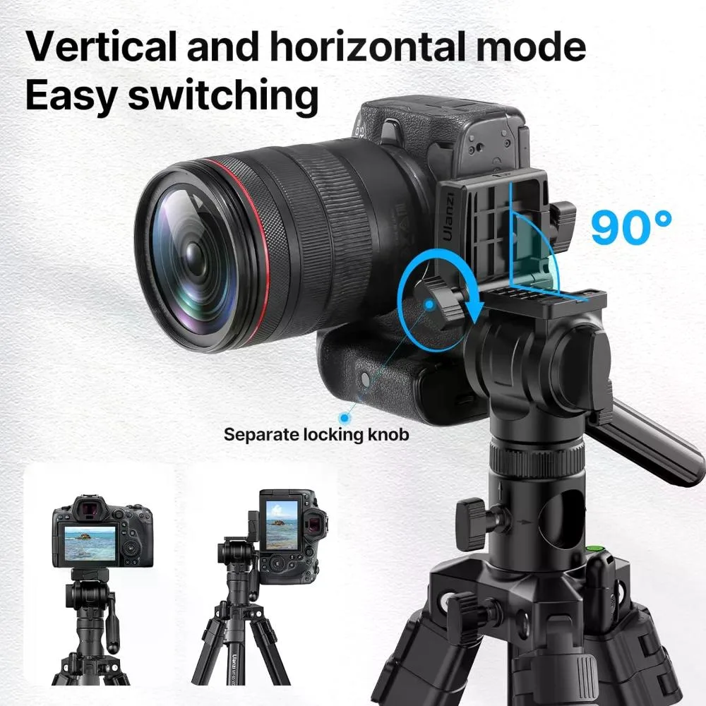 standard_resolution-1176.jpg