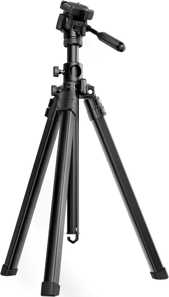 standard_resolution-1199.jpg