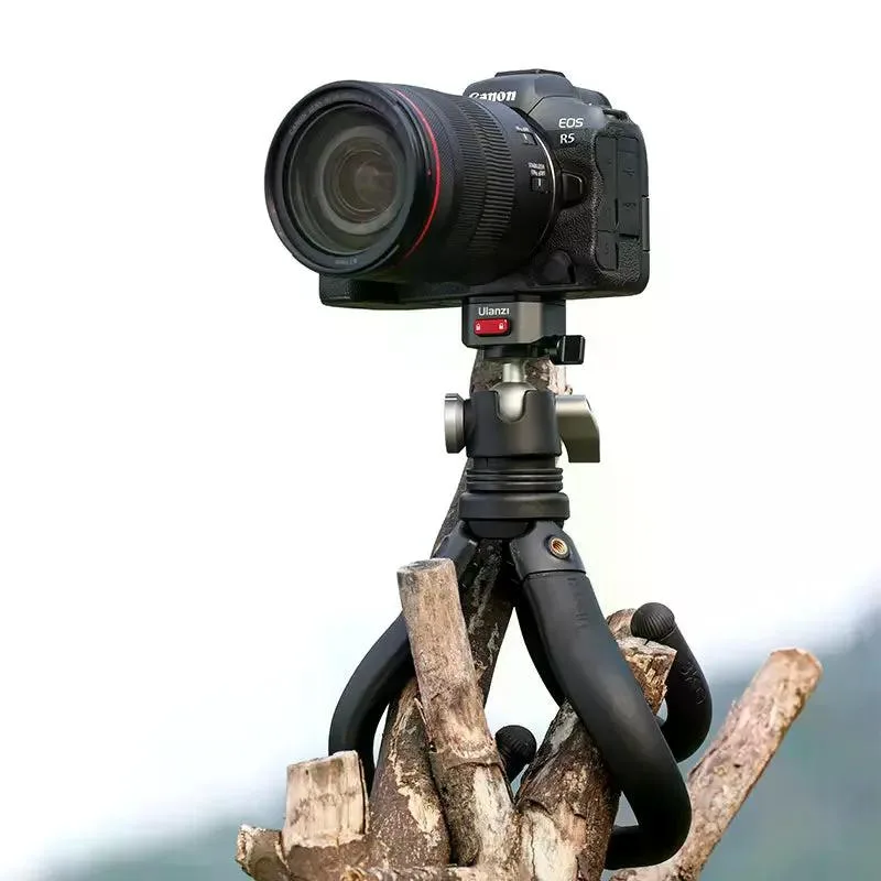 standard_resolution-134.jpg