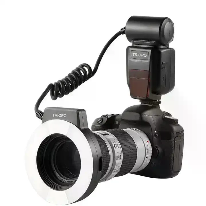 standard_resolution-1384.jpg