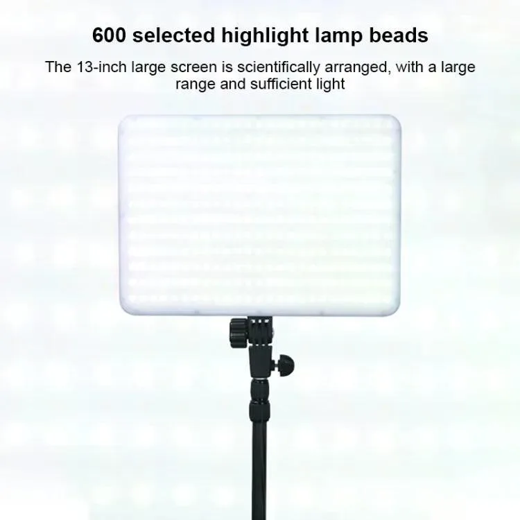 standard_resolution-169.jpg