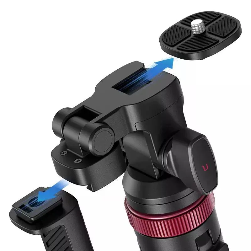 standard_resolution-1695.jpg