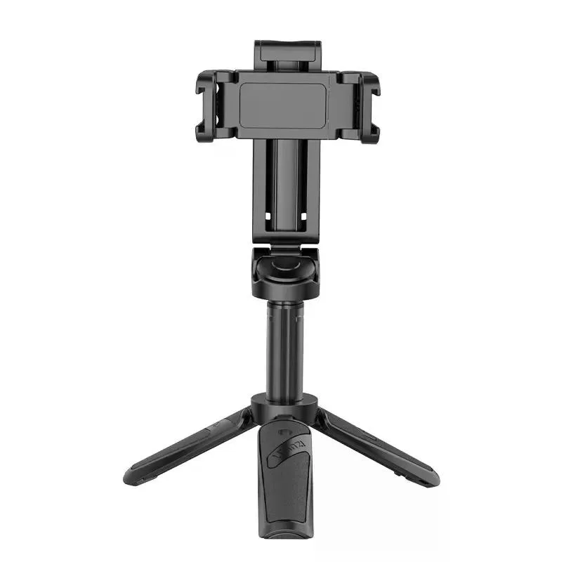standard_resolution-185.jpg