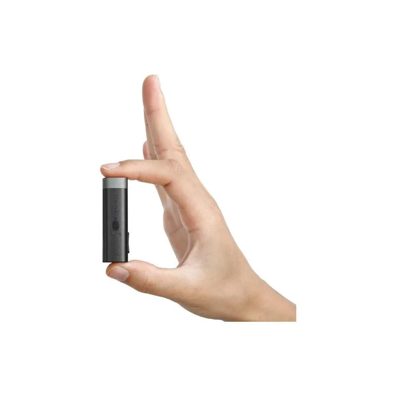 standard_resolution-2410.jpg