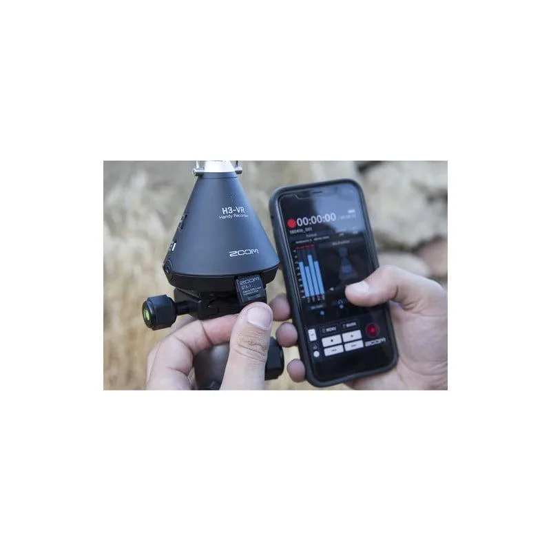 standard_resolution-2650.jpg