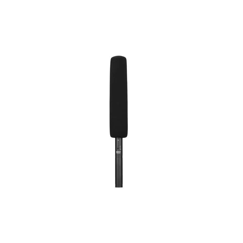 standard_resolution-2675.jpg