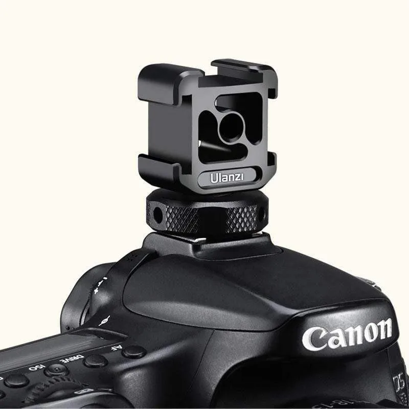 standard_resolution-2687.jpg