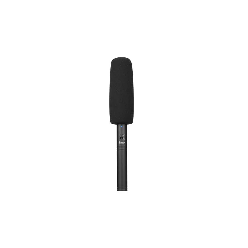 standard_resolution-2849.jpg