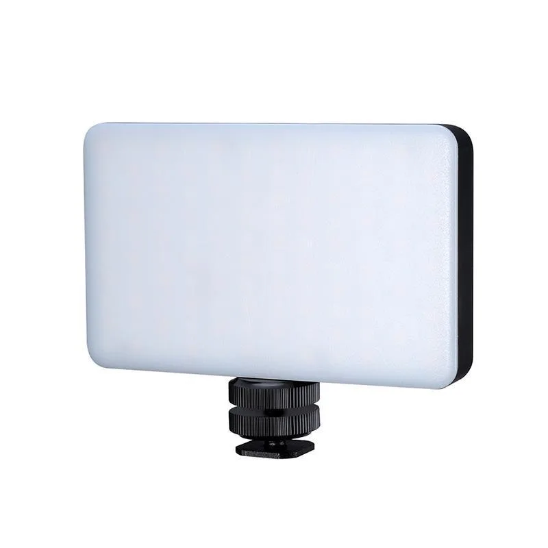 standard_resolution-3243.jpg
