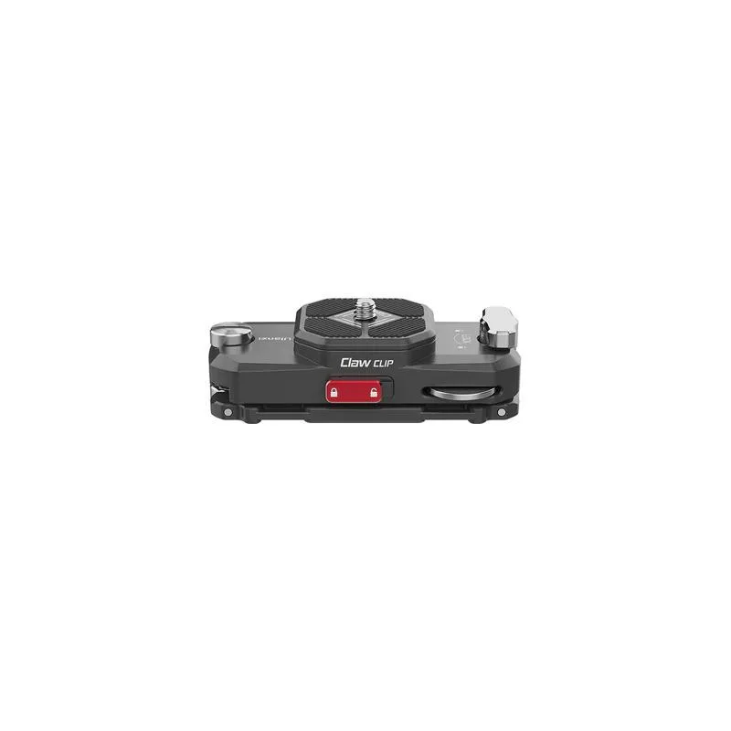 standard_resolution-3805.jpg