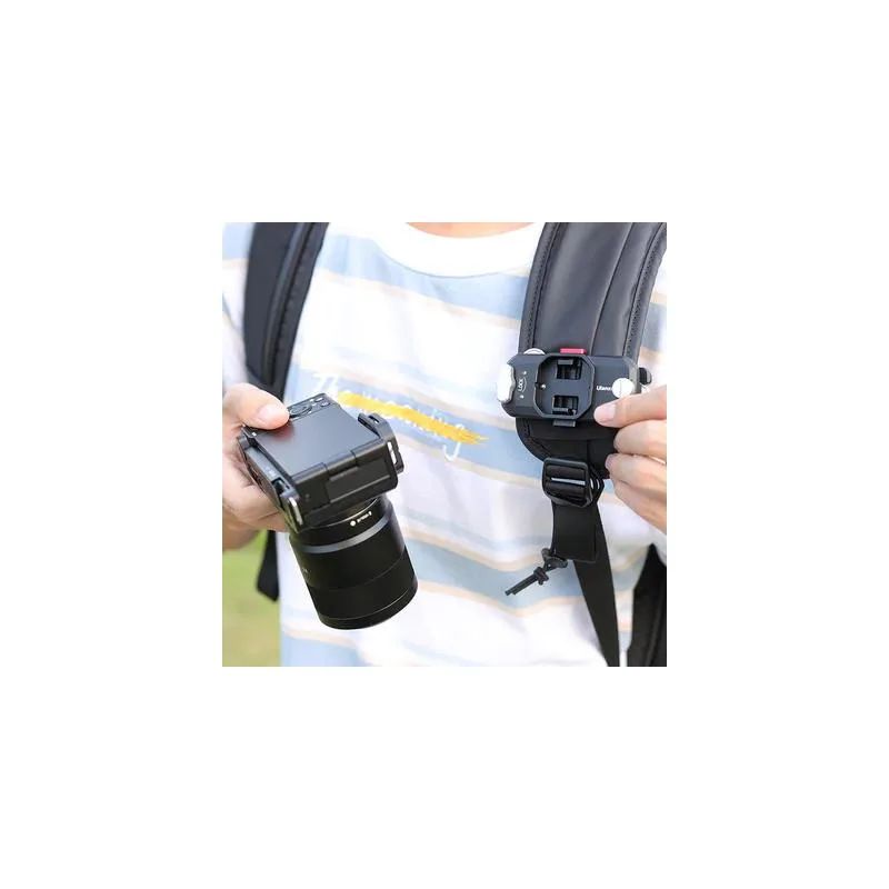 standard_resolution-3809.jpg