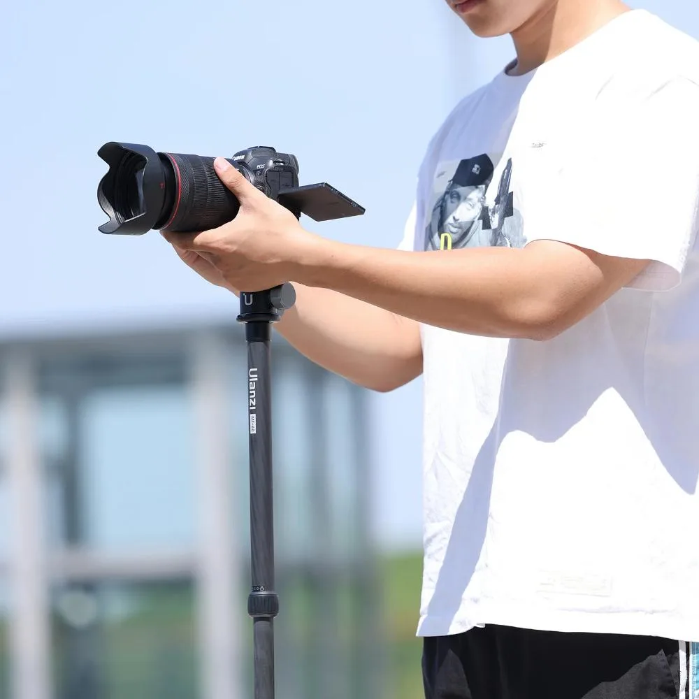 standard_resolution-384.jpg