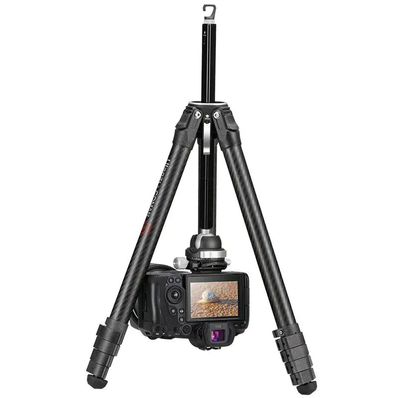 standard_resolution-3900.jpg