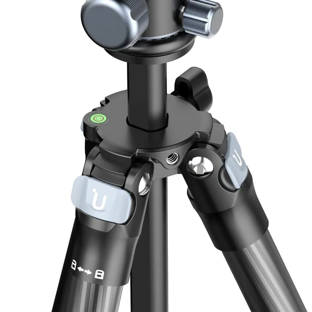 standard_resolution-399.jpg