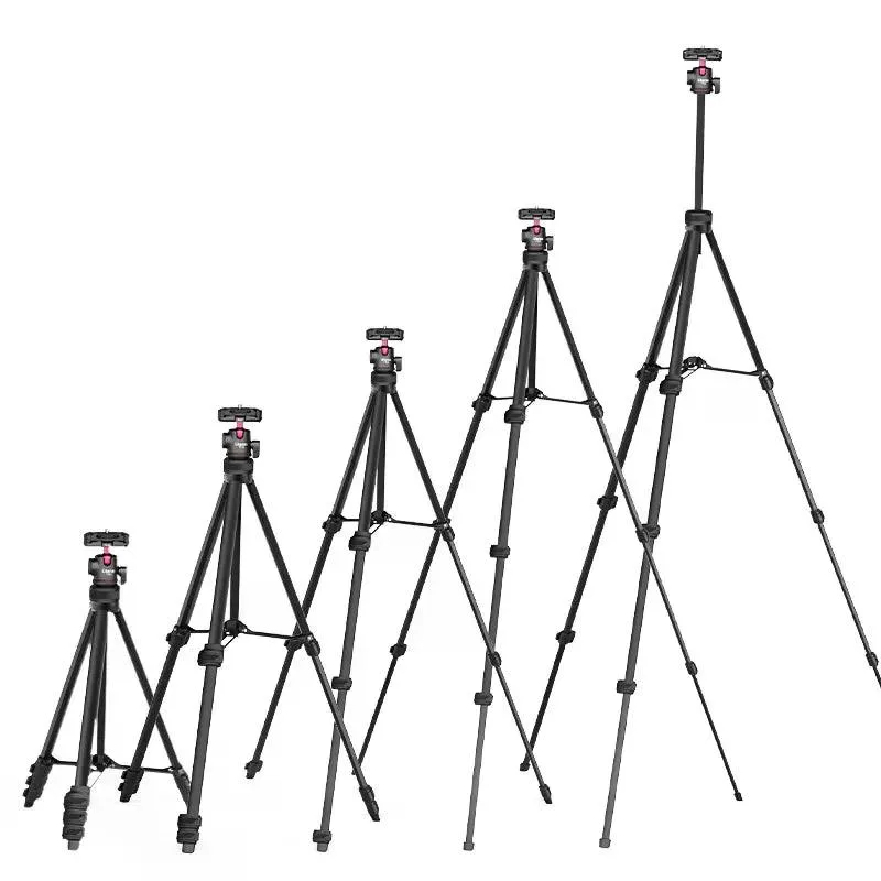 standard_resolution-403.jpg