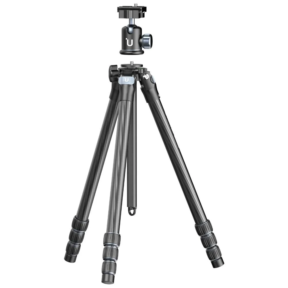 standard_resolution-404.jpg