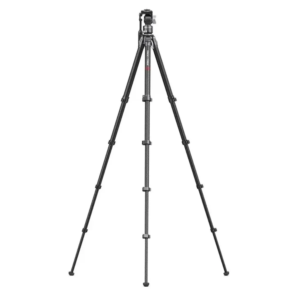 standard_resolution-4343.jpg