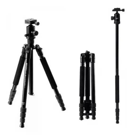 standard_resolution-4738.jpg