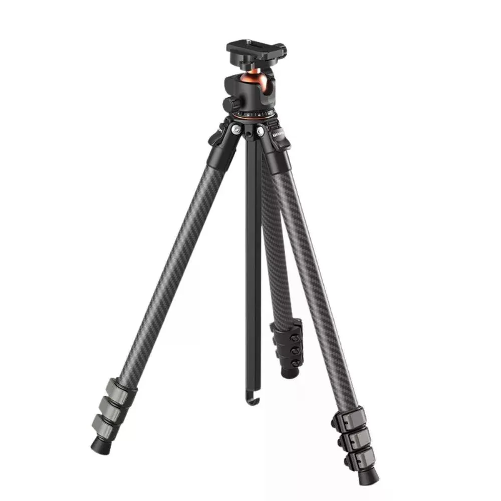 standard_resolution-4740.jpg