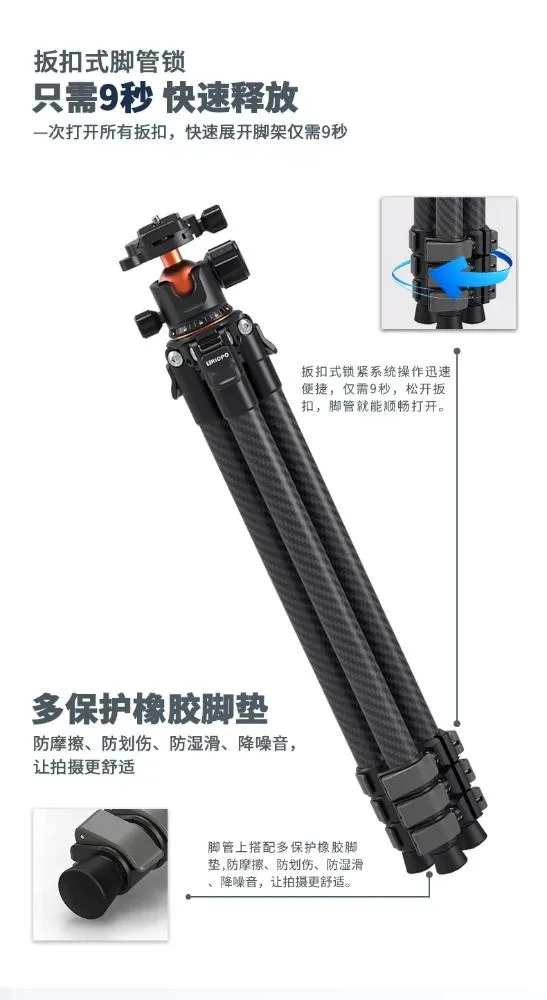 standard_resolution-4751.jpg