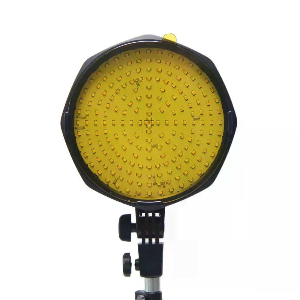 standard_resolution-4804.jpg