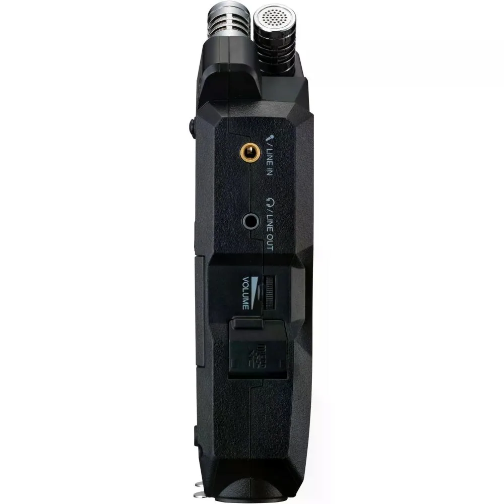 standard_resolution-550.jpg