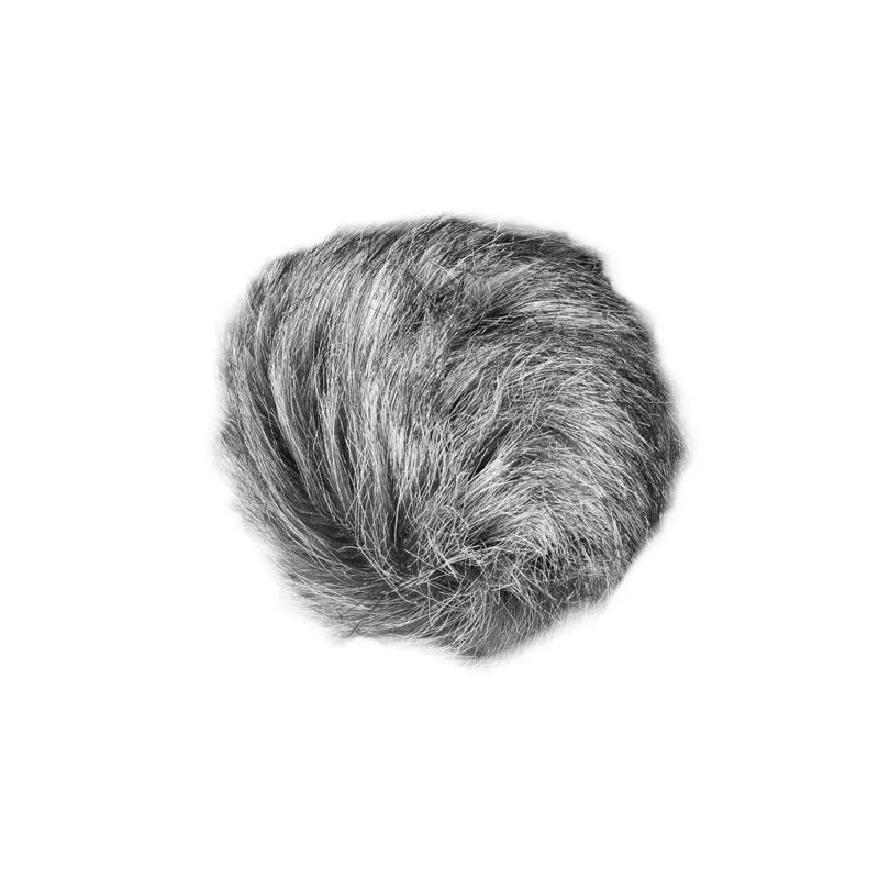 standard_resolution-77.jpg
